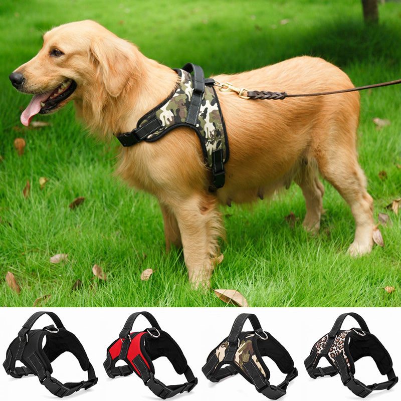 Heavy Duty Padded Dog Harness For Extra Large, Large, Medium And Small Dogs