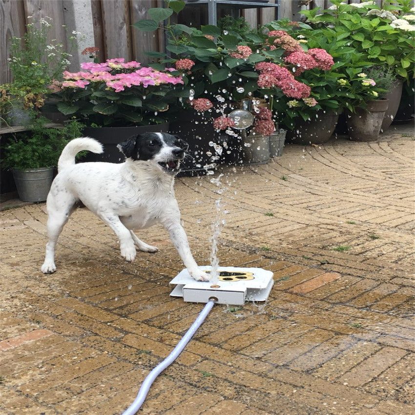 Drinking Water Fountain For Dogs