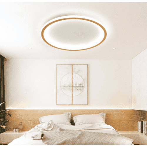 Modern Round Ceiling Light