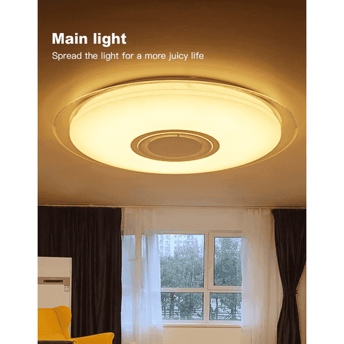Remote Controlled Ceiling Light with Bluetooth Speaker