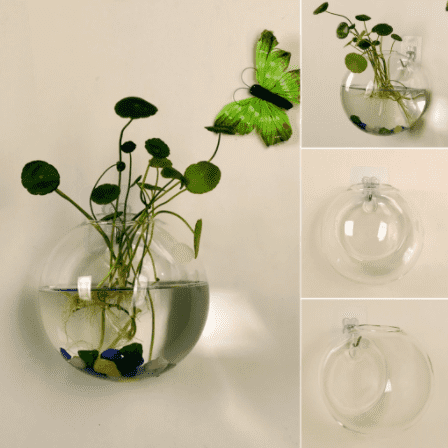wall vase for plants