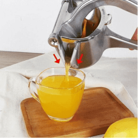 Fruit juicer