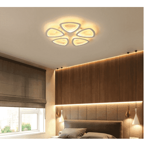 Unique Modern Ceiling Light