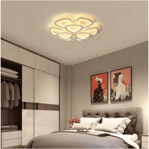 Unique Modern Ceiling Light